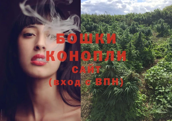 PSILOCYBIN Балахна
