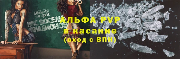 PSILOCYBIN Балахна