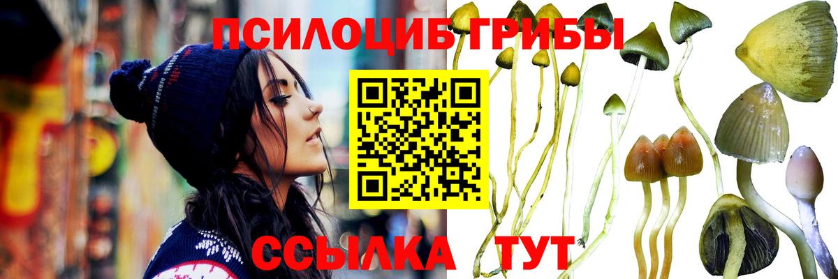 Галлюциногенные грибы Magic Shrooms  Псилоцибиновые грибы Psilocybe  Белогорск  Вход с VPN 